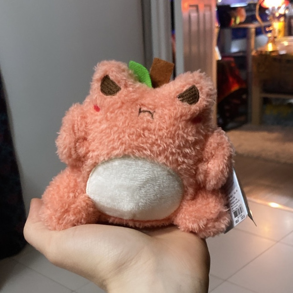 Wawa the froggie (peach wawa) clip BNWT